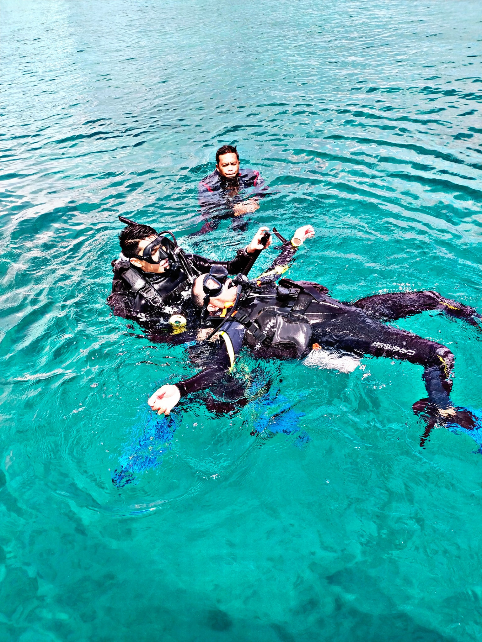 Gato Island swim-through reef, Cebu Philippines
